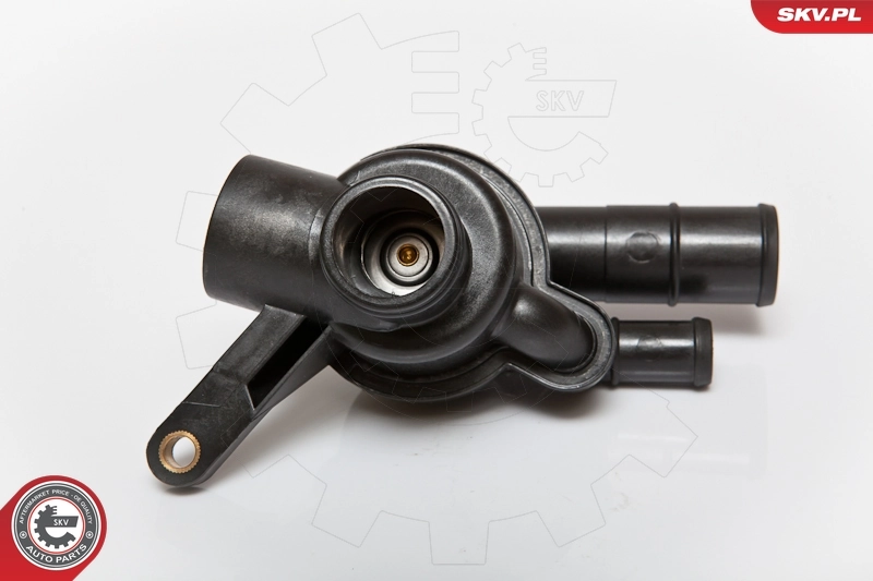 Thermostat, coolant